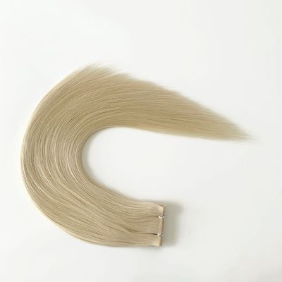 Full Payment Muti-Color Double Drawn Remy Human Hair Seamless PU Skin Weft Hair Extension