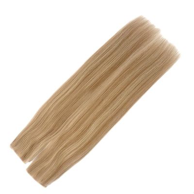 Remy Hair Dyeable PU Skin Weft /Tape Weft Extension with Highlight Tape in Hair Extensions