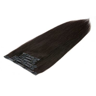 Human Hair Real European Clip in Hair Extensions Double Drawn Remy Hair Colored