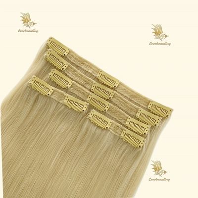 Brazilian Human Hair Double Drawn Lace Clip in Hair Extensions Shipping Cost Included